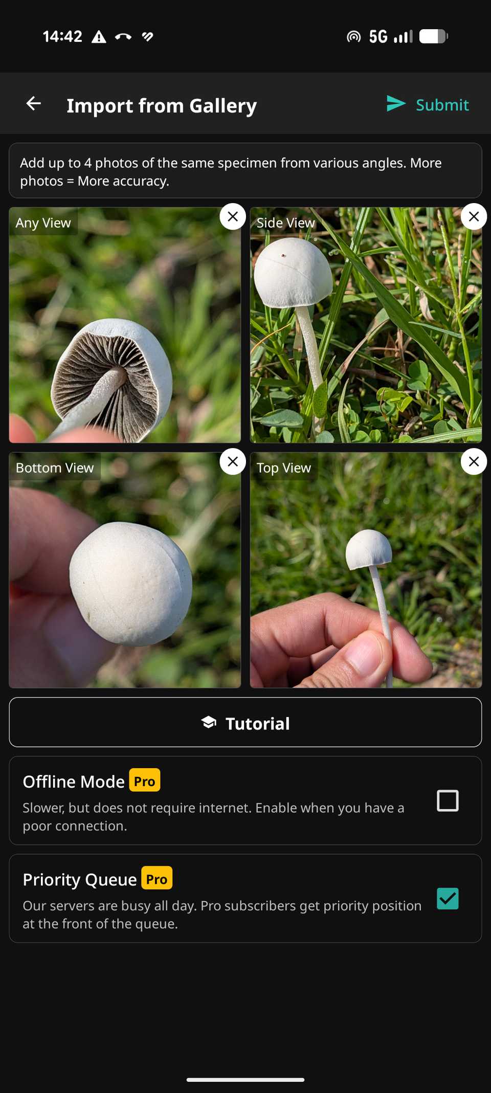 ShroomID feature uploading 4 photos for more accurate identification or prediction on Samsung Galaxy Z Flip 7