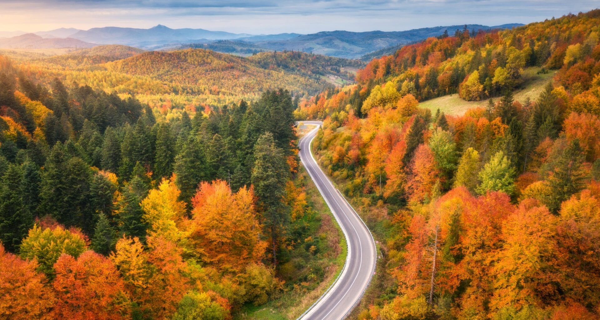 NASA satellite can now track fall colors leaf by leaf from space