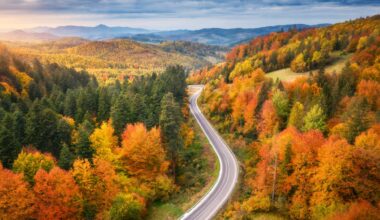 NASA satellite can now track fall colors leaf by leaf from space