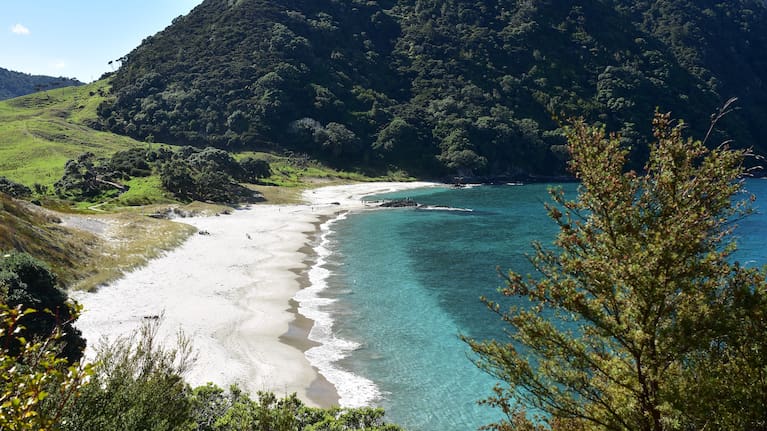 Smugglers Bay in Northland
