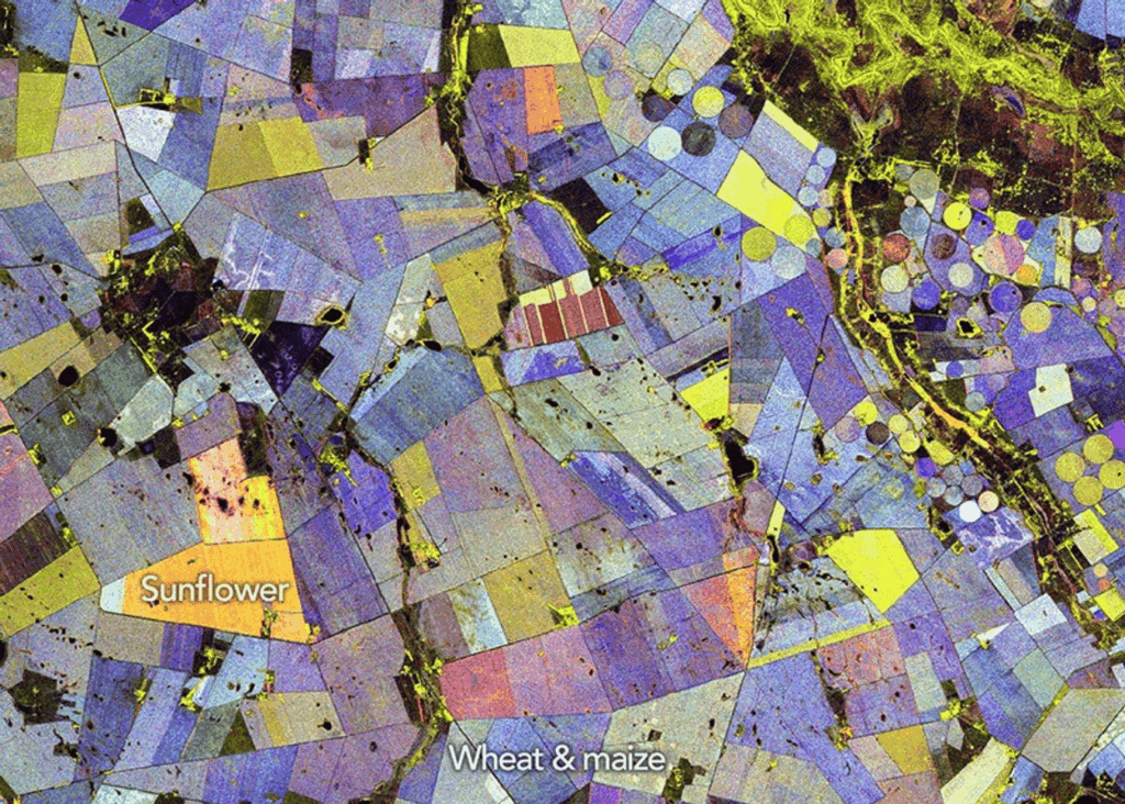 Aerial view of vibrant crop fields showing sunflower, wheat, and maize with colorful geometric patte.