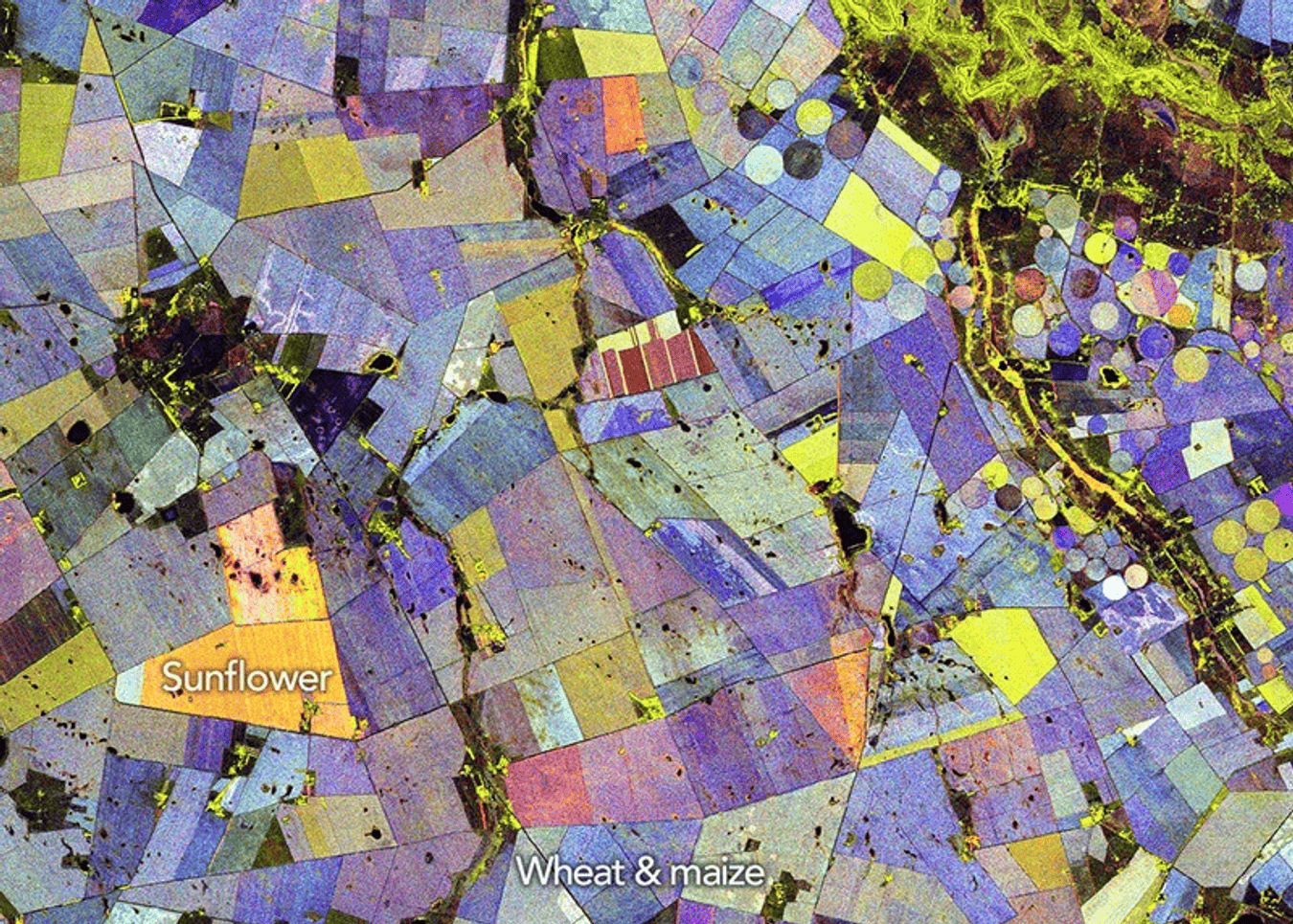 NASA’s Psychedelic Crop Map Shows Plants Have a Hidden Signature — and Radar Can Read It