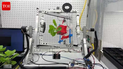 Pharmacies in space? Scientists discover a way to grow medicines in space using plants