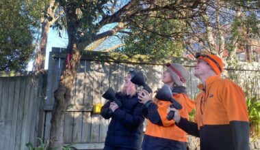 Call for possum spotters | Otago Daily Times Online News