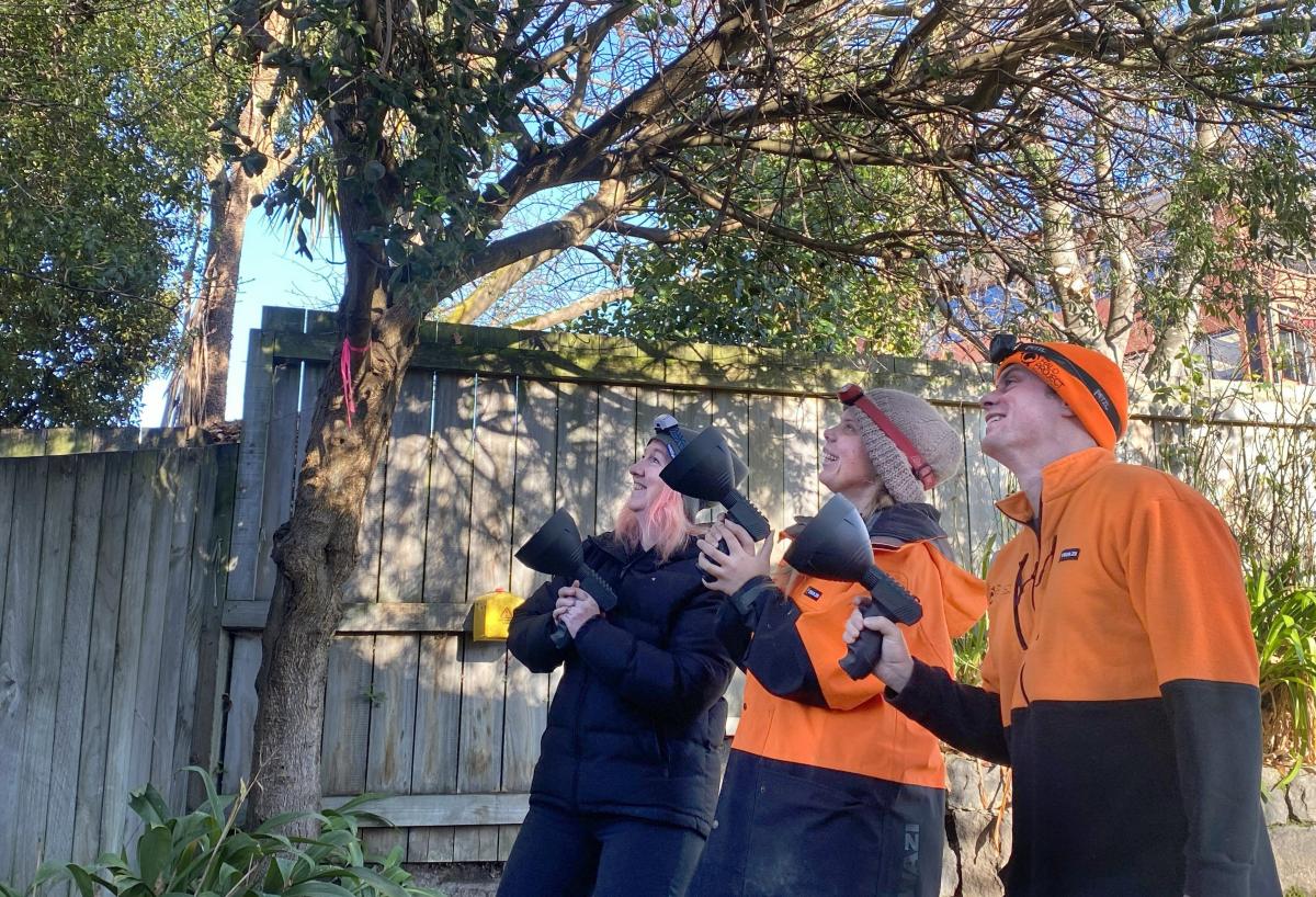 Call for possum spotters | Otago Daily Times Online News