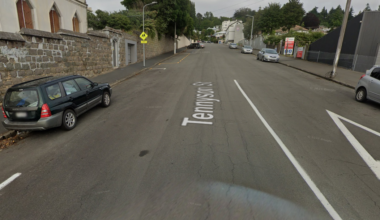 Handbag snatcher robs woman in central Dunedin