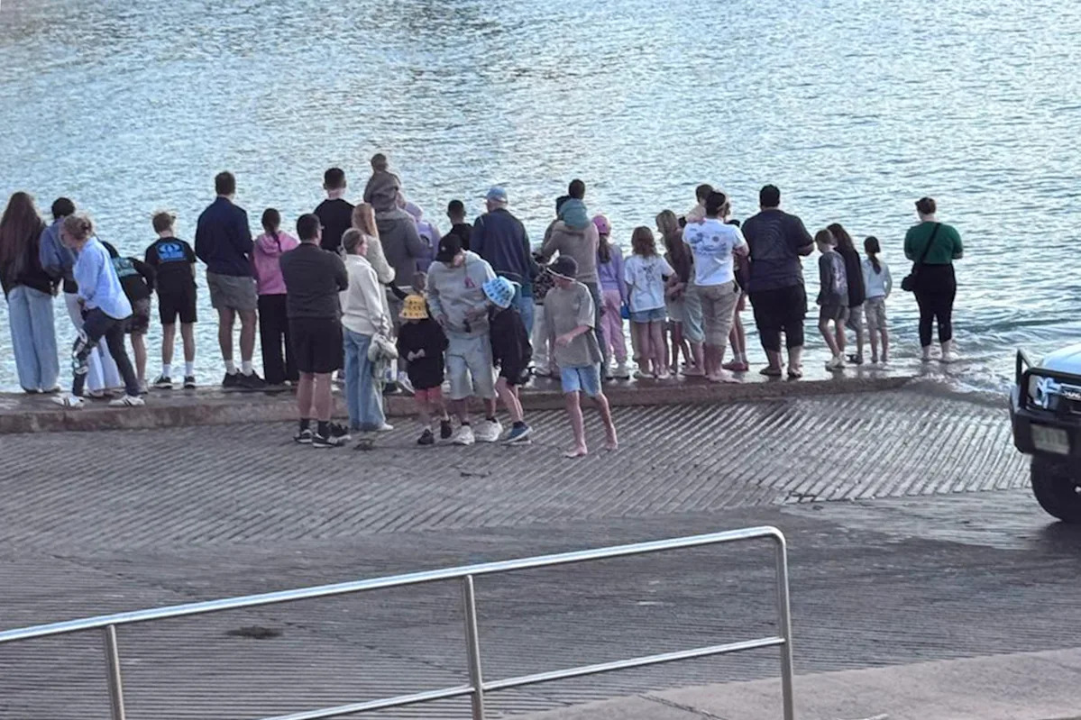 Tourists in awe over 'incredible' sight off Aussie boat ramp