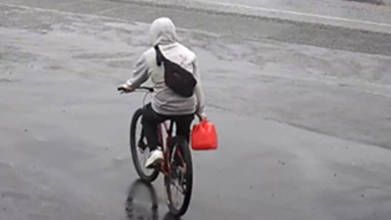 The alleged offender was captured on CCTV at G.A.S Maungatapere. 