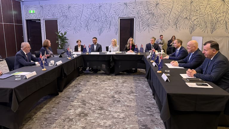 The Australian and New Zealand prime ministers have concluded their leaders' meeting in Noosa, Queensland, which came at a "pivotal" time, according to Luxon.