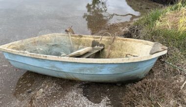 Freshly caught fish in Far North dinghy – with no owner in sight