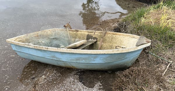 Freshly caught fish in Far North dinghy – with no owner in sight