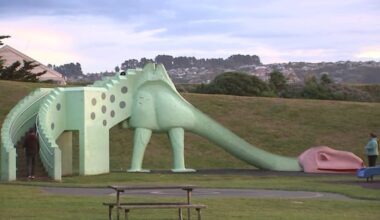 Dunedin's beloved dinosaur slide faces extinction after 57 years