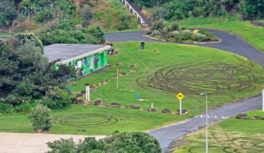 Man charged, car impounded after burnouts damage Whanganui reserve