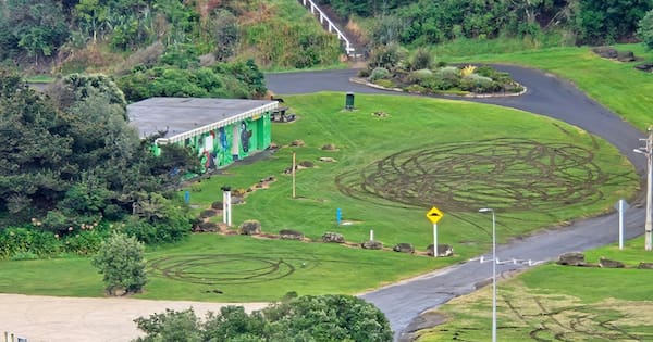 Man charged, car impounded after burnouts damage Whanganui reserve