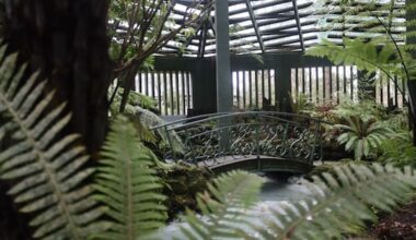 Faeces in the fernery: Town's attraction closed by people pooing