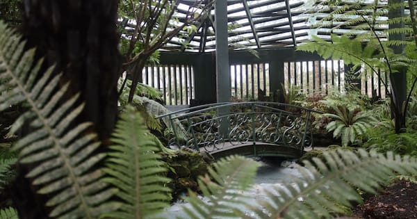 Faeces in the fernery: Town's attraction closed by people pooing