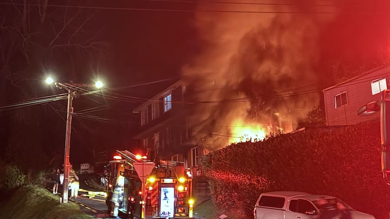 The house was "well ablaze" on arrival.