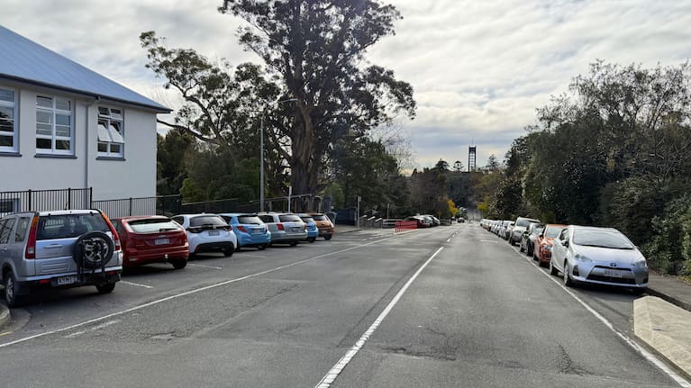 The incline of Trafalgar Street South was another concern of councillors.