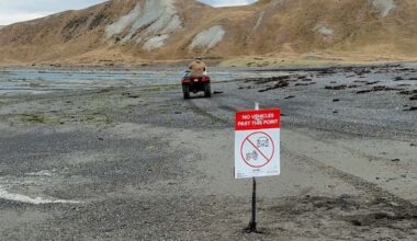 Drivers keep breaching beach ban on Marlborough coast