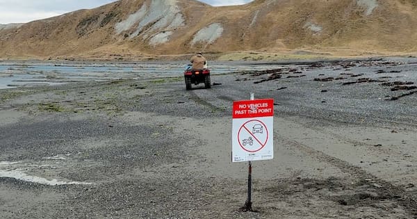 Drivers keep breaching beach ban on Marlborough coast