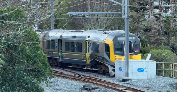 Wellington train derailment: Line closed for rest of week
