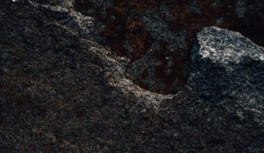The Murchison meteorite that fell on an Australian town in 1969 contains grains of stardust 7 billion years old, meaning the dust predates the Sun itself and is the oldest solid material ever held in a human hand