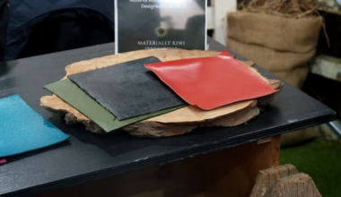 NZ company turning kiwifruit waste into a leather alternative