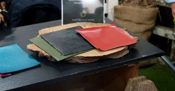 NZ company turning kiwifruit waste into a leather alternative