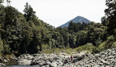 Nearly half of Marlborough could be sold or developed under new bill