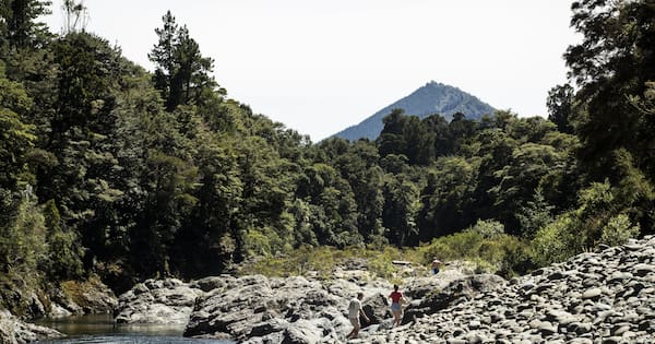 Nearly half of Marlborough could be sold or developed under new bill