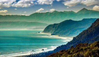 Councillor says NZ burdened by 'heavy-duty' environmental reporting