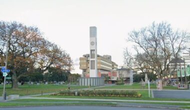 Man seen presenting a firearm at a group in Palmerston North