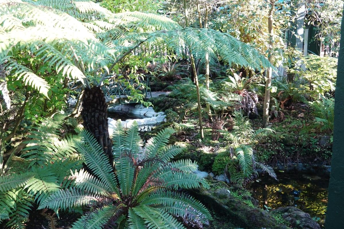Mystery pooper leaves 'revolting' surprise