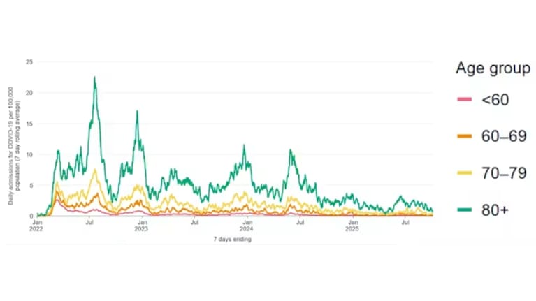 This graph shows hospital admissions for COVID-19 in New Zealand, per 100,000 cases, across age groups in people aged over 65, since 2022. While rates have declined over time, elderly patients remain at risk from coronavirus.
