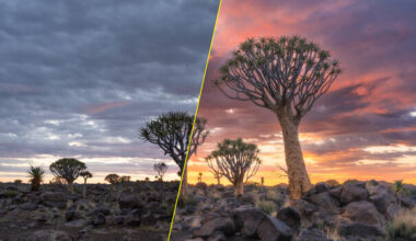 Dramatic Landscapes: Master Sunrise Light in 2026