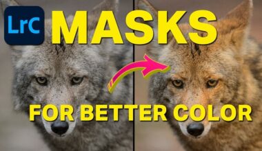 Color Masking in Lightroom Classic