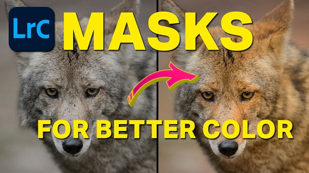 Color Masking in Lightroom Classic