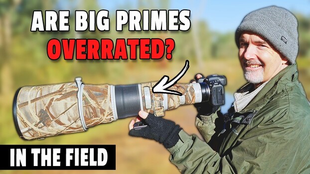 Why Wildlife Shooters Switch to Zooms