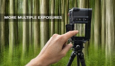 In-Camera Multiple Exposure for Abstract Forest Art