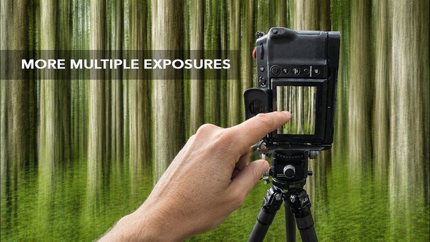 In-Camera Multiple Exposure for Abstract Forest Art