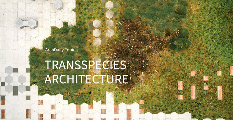 Transspecies Architecture: ArchDaily’s June Editorial Focus - Image 1 of 8