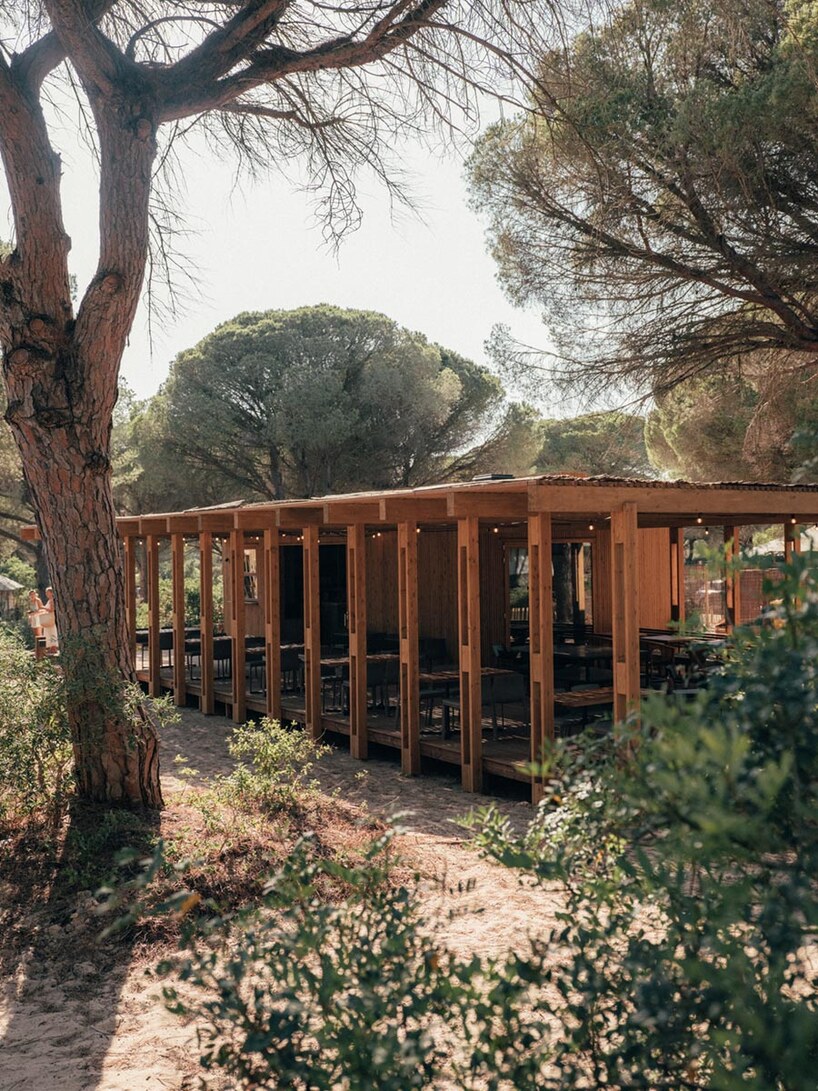 trenchs studio threads low-impact glamping among the pines of southern spain - 4