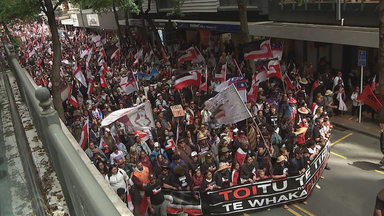 The 2024 nationwide march opposing the government's Treaty Principles Bill and its policies impacting Māori.