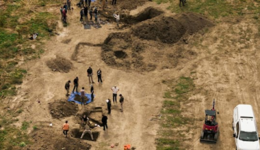 'Horrific scene': At least 117 dead dogs found at US 'no-kill' shelter