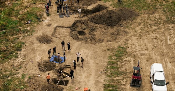 'Horrific scene': At least 117 dead dogs found at US 'no-kill' shelter