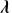bold italic lamda
