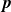 bold italic p