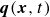 bold italic q left parenthesis bold italic x comma t right parenthesis