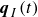 bold italic q Subscript upper I Baseline left parenthesis t right parenthesis