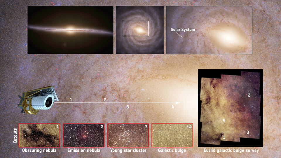This infographic places Euclid&rsquo;s galactic bulge survey in the broader context of the Milky Way&rsquo;s structure, using data from ESA&rsquo;s Gaia mission.